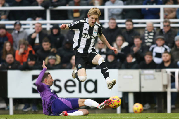 福原爱的娱 福原爱的娱