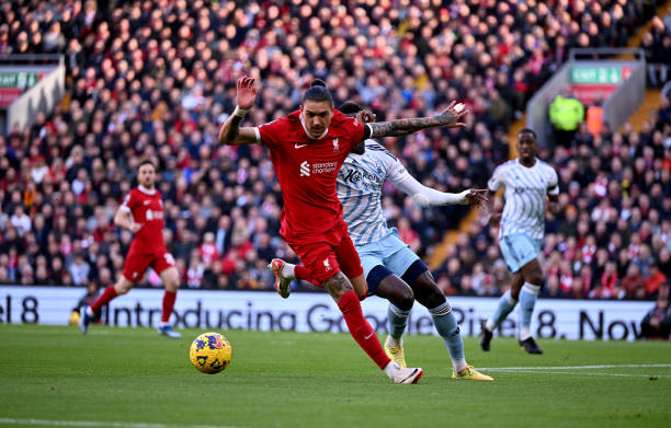 游泳项目的 游泳项目的